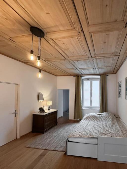 Appartement Hypercentre 80M2, A Deux Pas Du Chateau Des Rohan à Saverne Extérieur photo